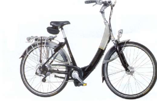 E Bike, huur een ebike en ontdek het mooie Land van Maas \u0026 Waal! - Riverside